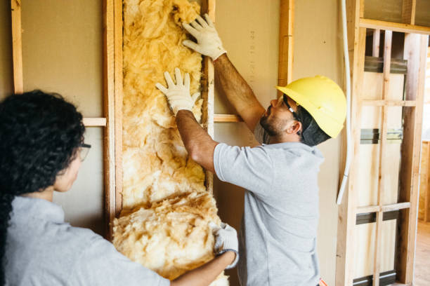 Best Attic Insulation Near Me  in Mdleton, ID
