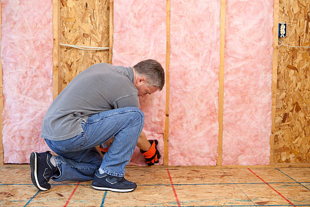 Best Insulation Removal  in Mdleton, ID
